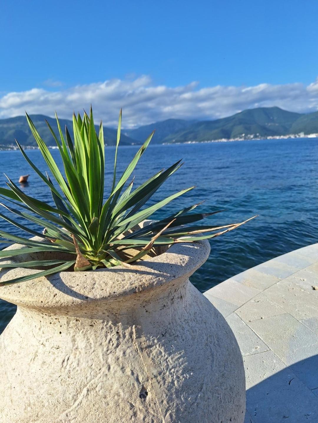 Apartments Ponta Krasici Tivat Eksteriør bilde